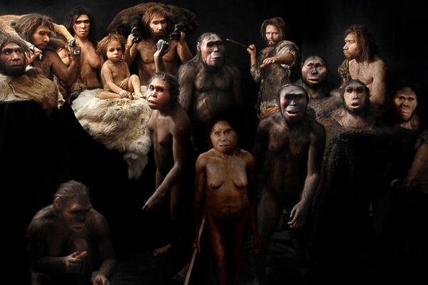 Une découverte majeure sur l’origine génétique des humains modernes