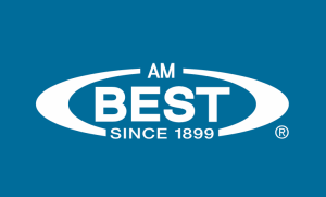 Cyber and Parametric ILS Gain Traction in Evolving Cat Bond Market: AM Best